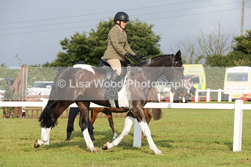 1X9A2827 - Class 25: Ridden Plaited Coloured Horse