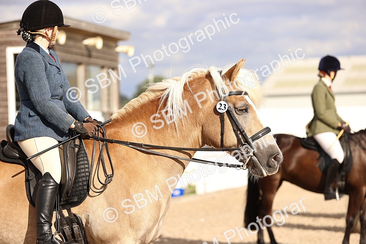 SBM_18231 - Class 423 - Equitation (best rider) Adult