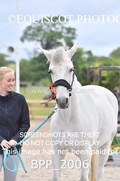 BPP_2006 - SAT CLASS 10 Senior British Novice/ 90cm Open