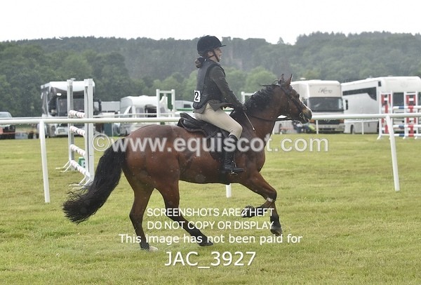 JAC_3927 - 55cm WORKING HUNTER