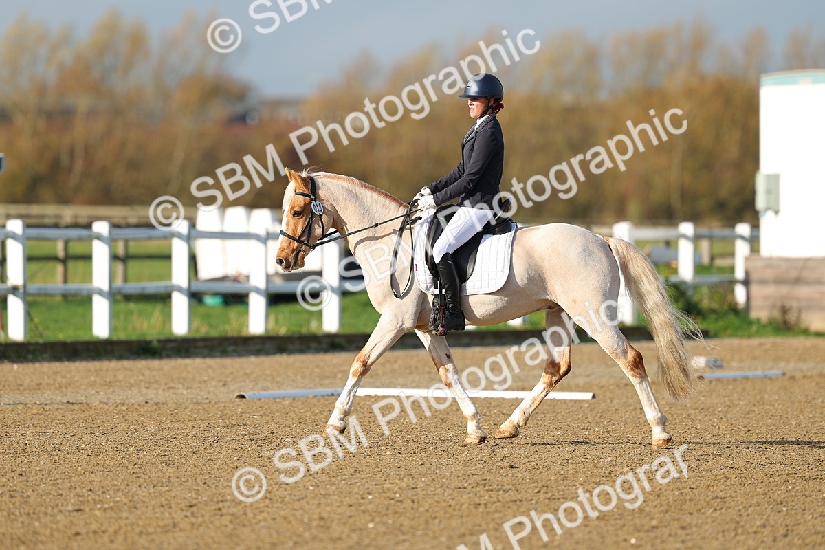 SBM_003015 - Class 2 - Intro 3