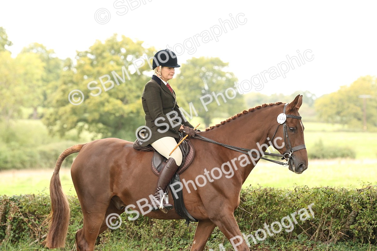 SBM_66268 - S66 - Hunter Ridden