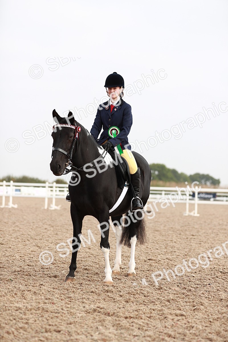 SBM_09461 - Class 202 Best Turned Out Ridden