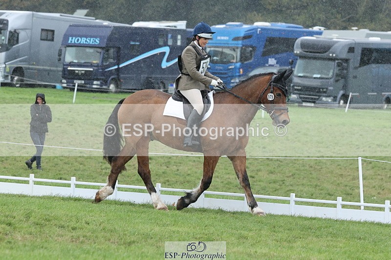 251024A-145546-14318 - G-575-Victoria.Woodland