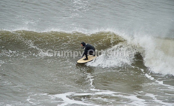 DSC_1797 - Cayton Bay - 11th April 2017