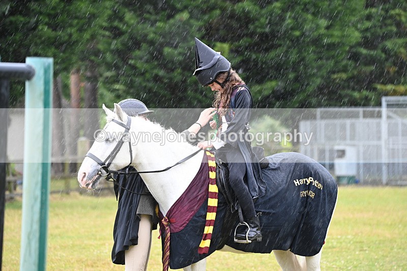WJ6_9414 - Class 11 Fancy Dress