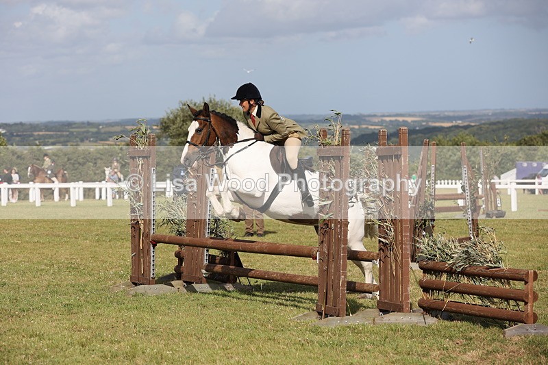 JPP_2797 - Class 20: Working Hunter 70cm