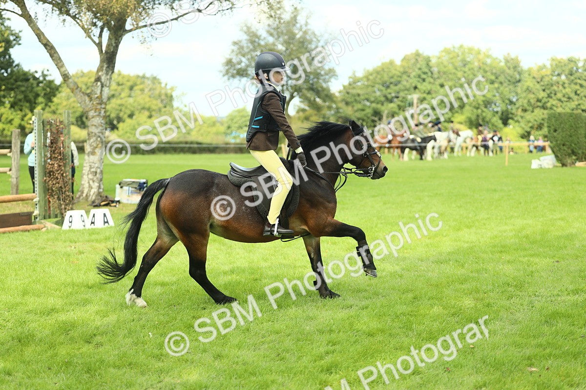 SBM_42755 - S30 - M&M Working hunter Pony