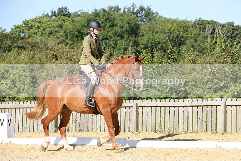 1X9A7707 - Class 9: Open Ridden Hunter