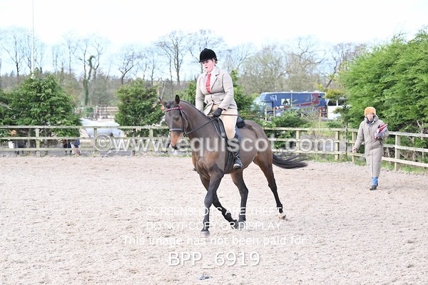 BPP_6919 - RING 1  (RIDDEN HORSES / IN HAND / VETERAN ETC)