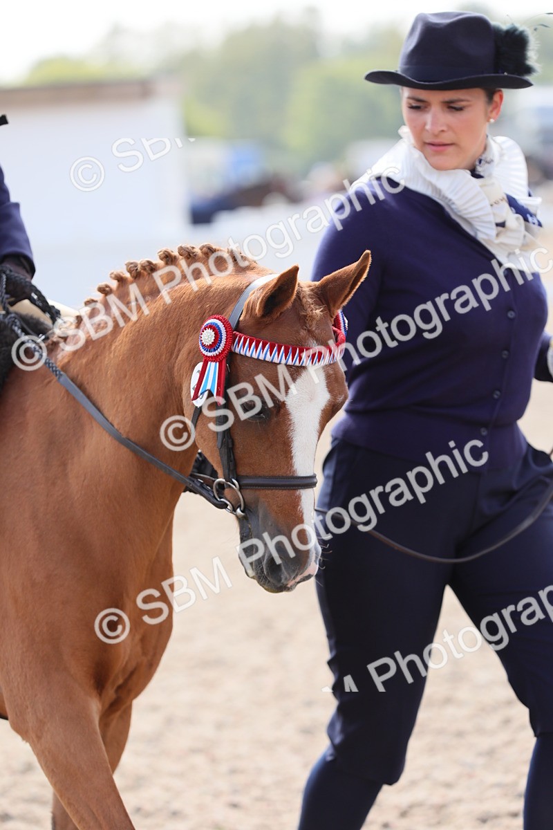 SBM_14000 - Class 309 Lead Rein Pony