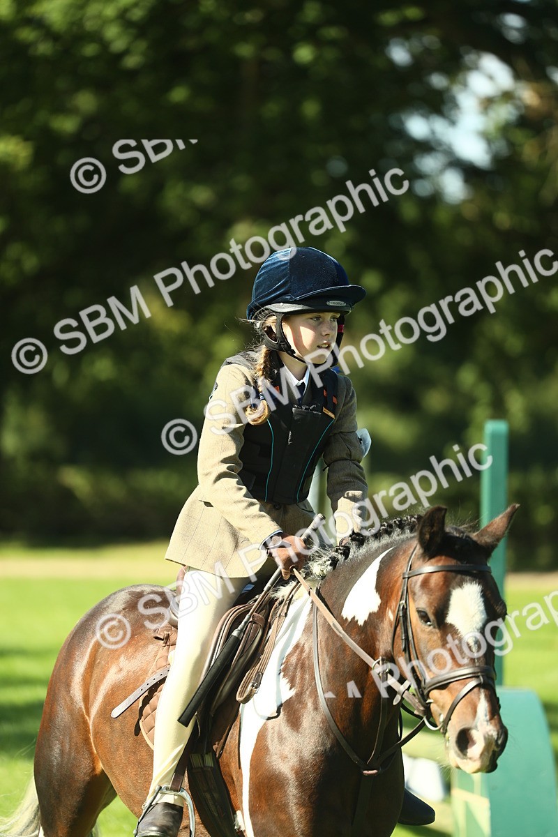 SBM_37542 - S29 - Novice & Newcomers Working Hunter Pony