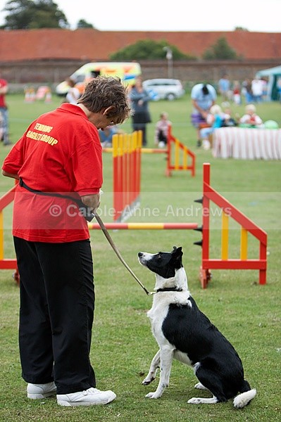  - Tendring Agility Group- St Osyth Summer Fete