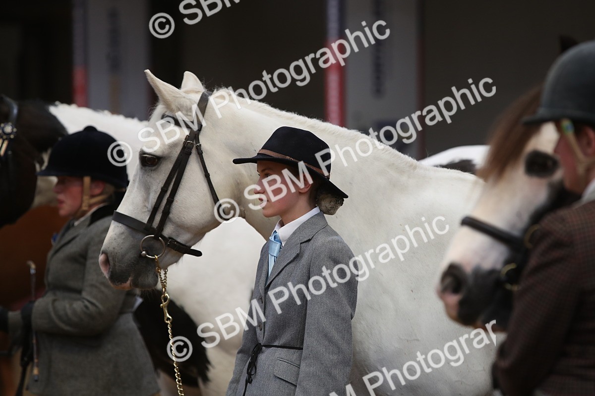 SBM_05609 - Class 9R - Regional IH Pre-Vet