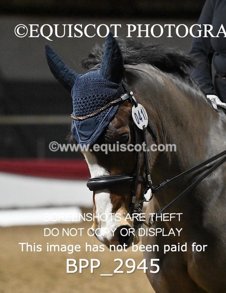 BPP_2945 - ELEM TEST 4