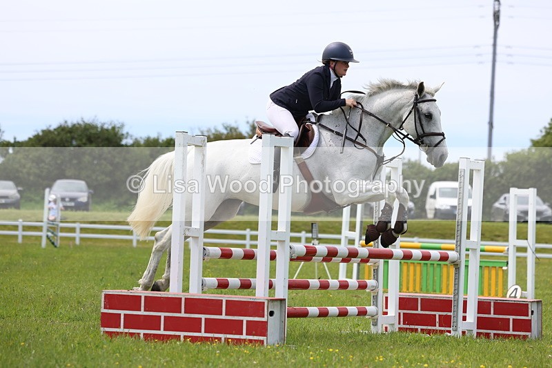 3E7A1519 - Class 13: Senior British Novice/90cm open