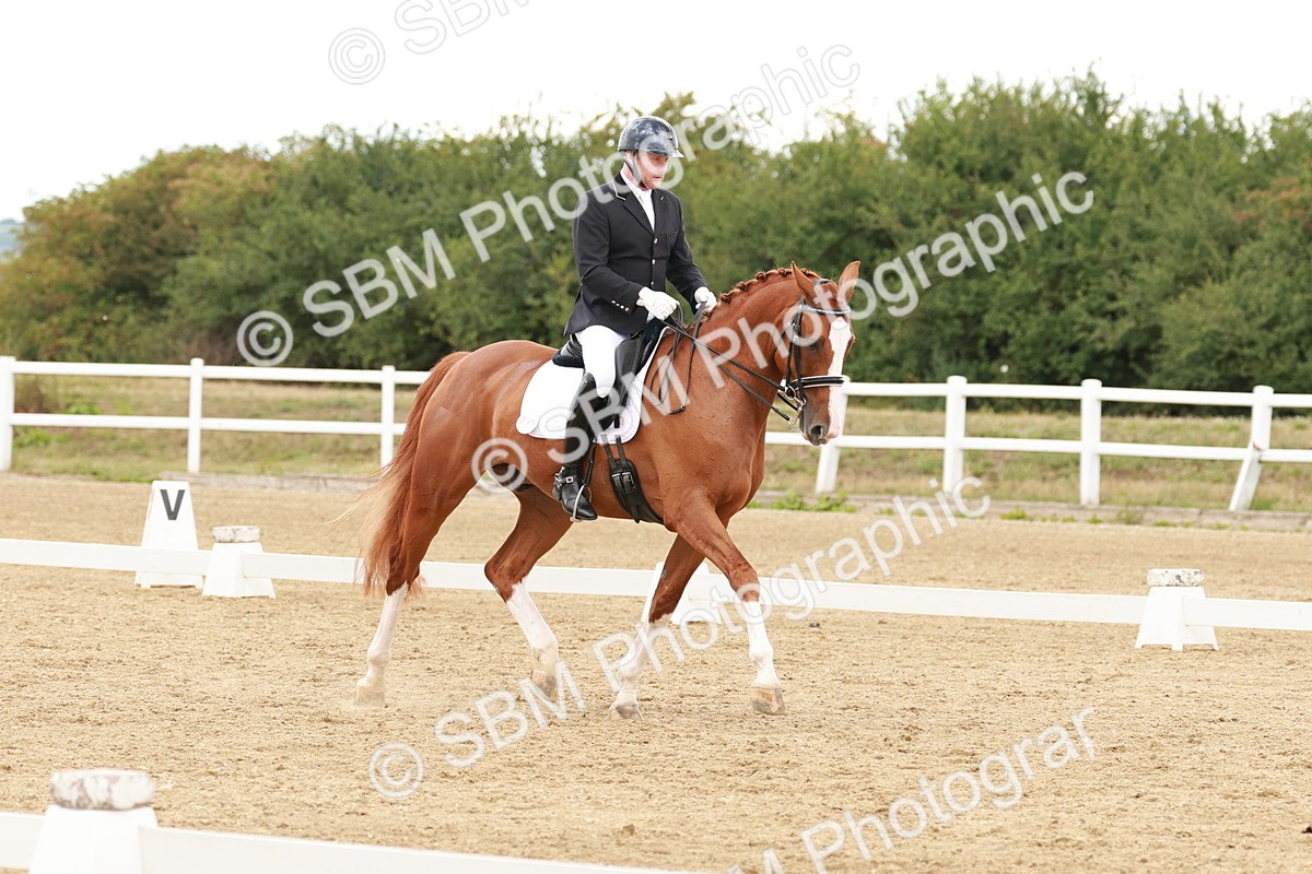 SBM_002028 - Class 8 - Elementary 6