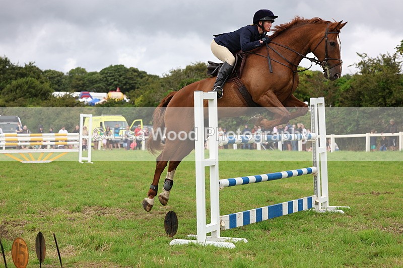 3E7A8600 - Class 8: Senior Foxhunter/1.20m open