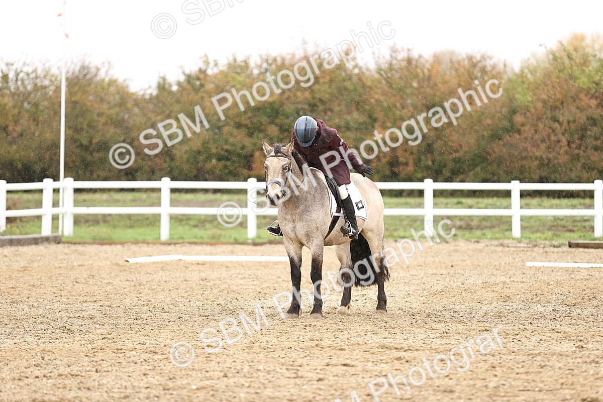 SBM_001913 - Prelim B