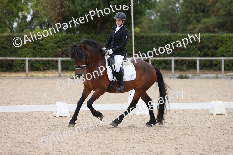 20250820-1241 - Class 18 - Elementary 5