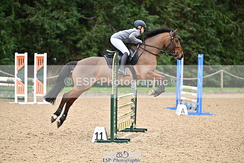 250201A-103449-00261 - Cls 01 Local Horse 90cm