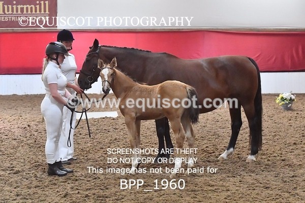 BPP_1960 - AFTERNOON 12.30 - 3.30PM