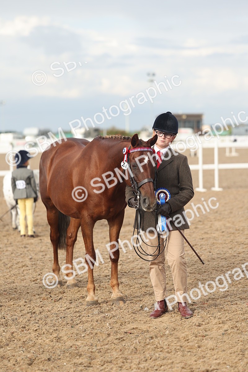 SBM_08589 - Class 29 - IH Veteran Pony