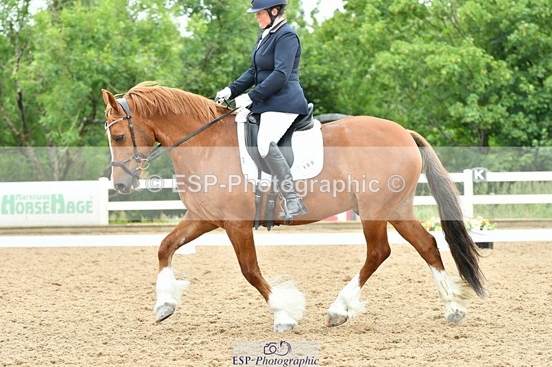 230630A-115109-01708 - Cls 7 Elementary 45