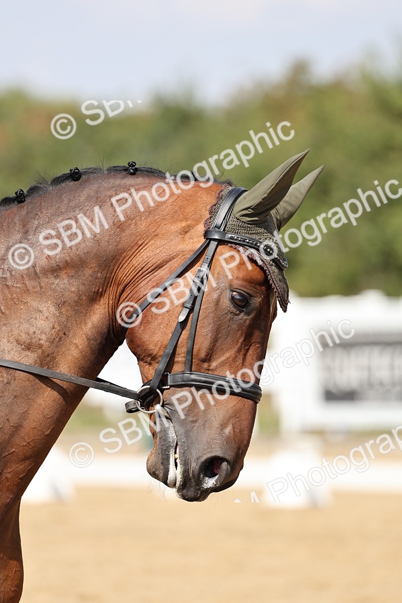 SBM_018597 - Class 16 - Novice 5 - 12.08-13.11