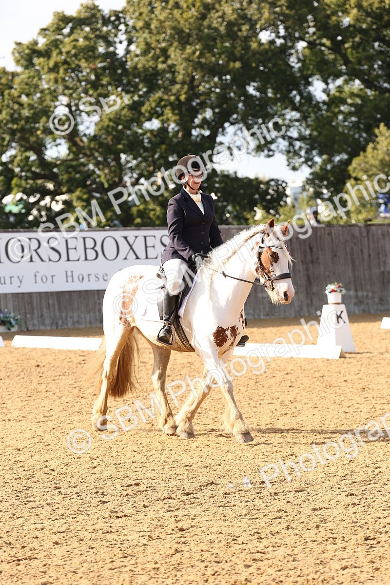 SBM_50507 - D12 - Small Tour Championship prelim 2