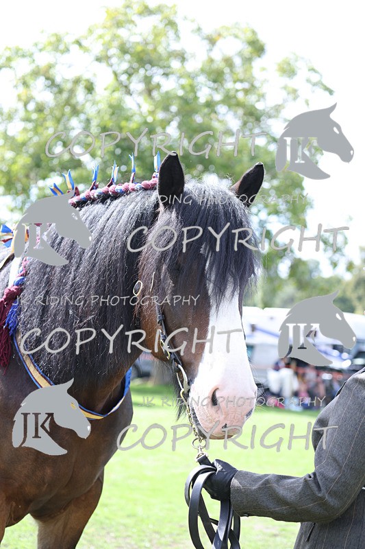 APP_3278 - Class 4 Veterans