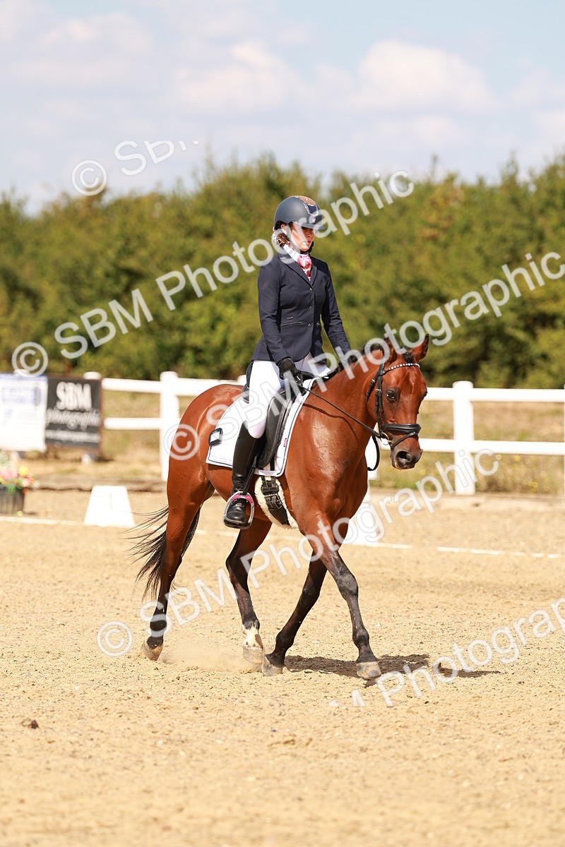 SBM_018466 - Class 9 - N5 Bronze 11.57.13.07