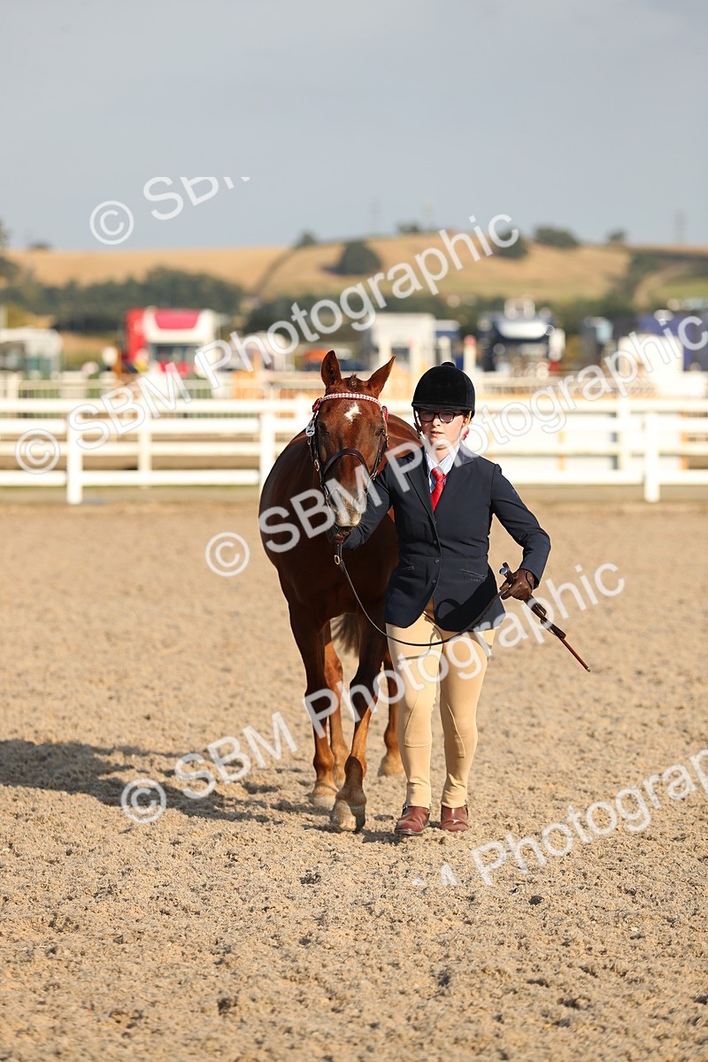 SBM_08978 - Class 29 IH Veteran Pony