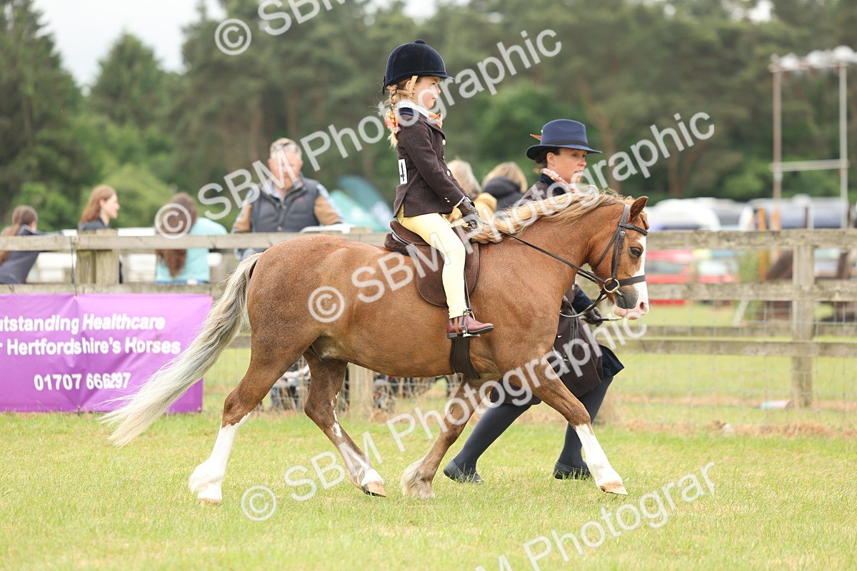 SBM_06723 - Class 74-75 - M&M Lead Rein and First Ridden Pony