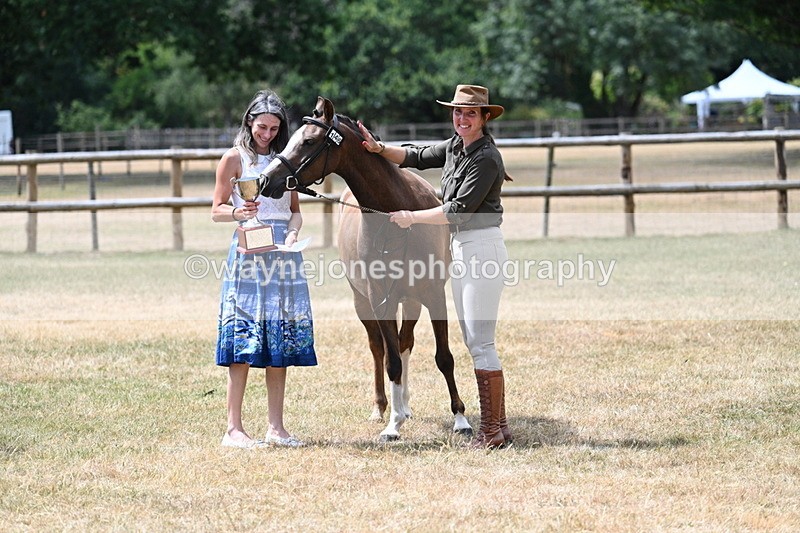 WJ7_2100 - Prettiest Mare Champs