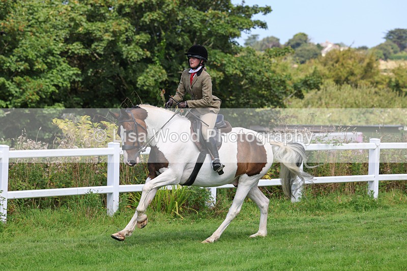 3E7A8699 - Class 5: Working Show Horse