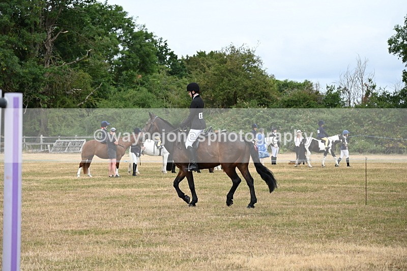 WJ6_3971 - Class 9 Tack & Turnout