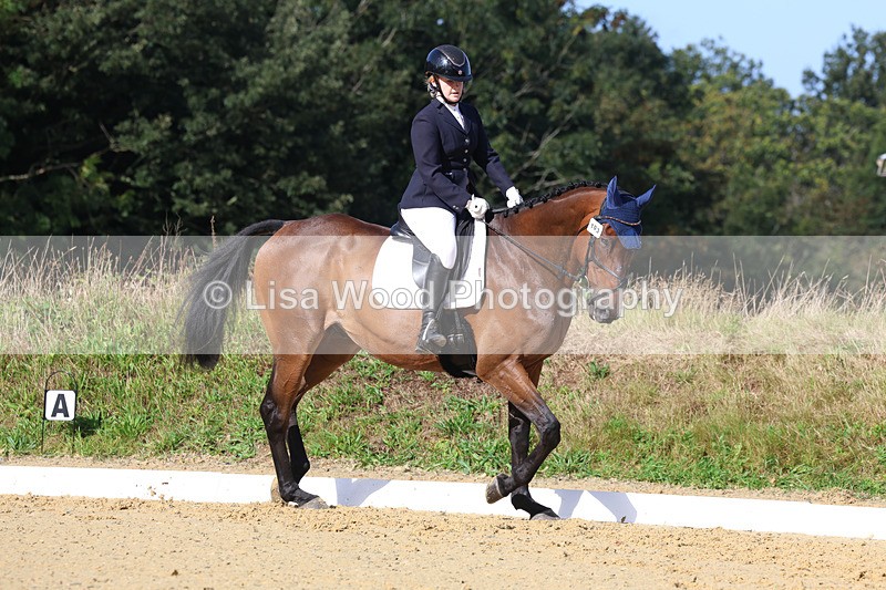 3E7A2533 - Class 1: Intro 4 2024 section A