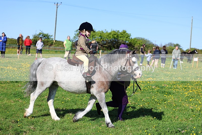 3E7A8882 - Class 2: Lead rein