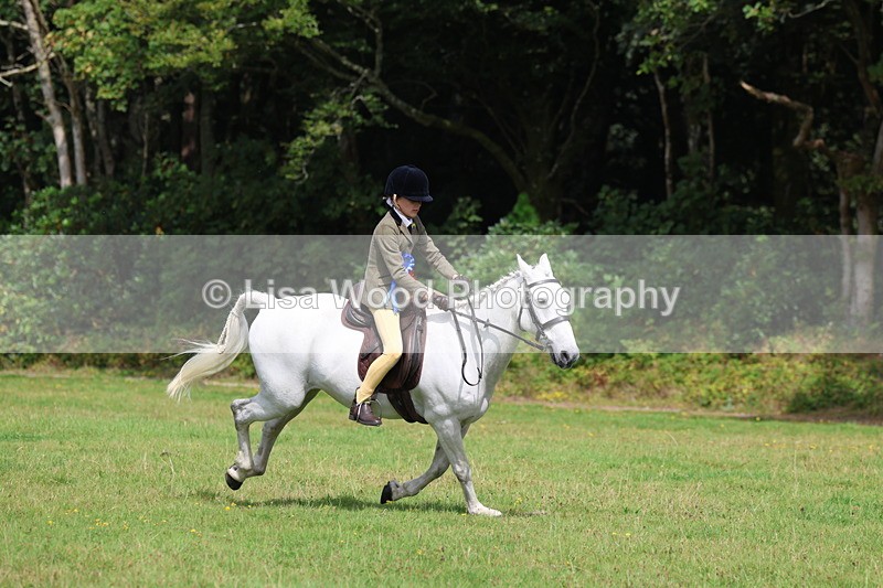 3E7A6091 - Working Hunter Championship