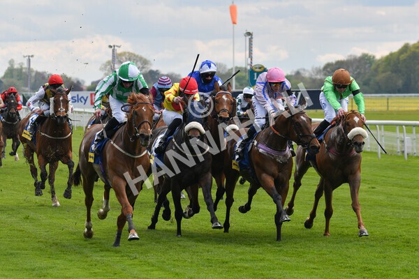 yr12052021r2-33 - Race 2 2.10pm Churchill Tyres Stakes