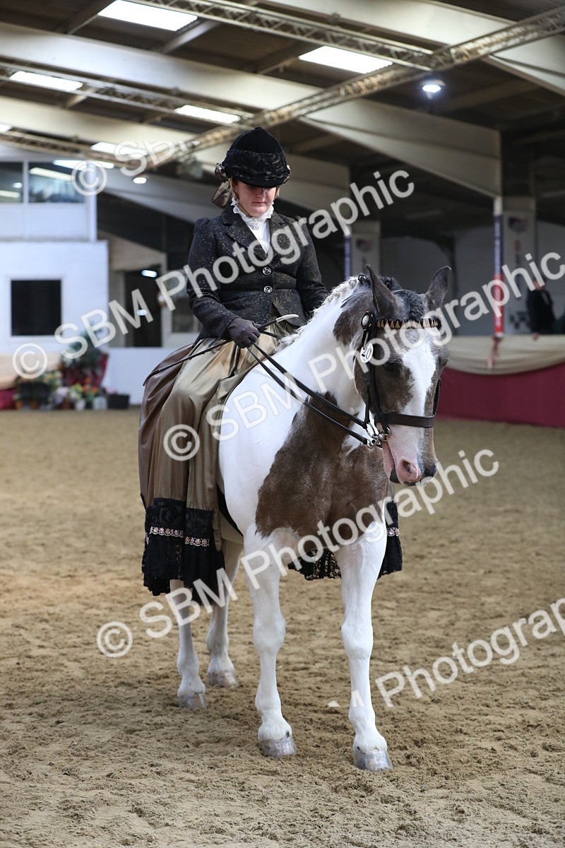 SBM_11261 - Class 104 Ridden Costume - Astride Junior