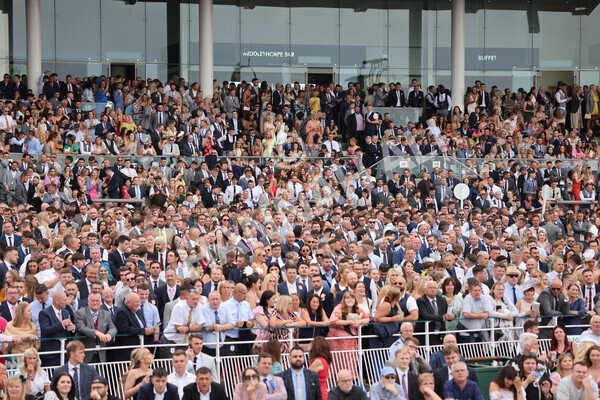 yr24072021r7-42 - Race 7 5.35pm The Sporting Life Fast Results Stakes