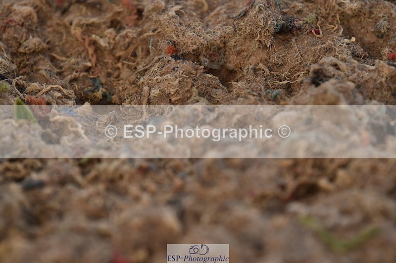 231104A-141214-02060 - Cls 10 Medium 61