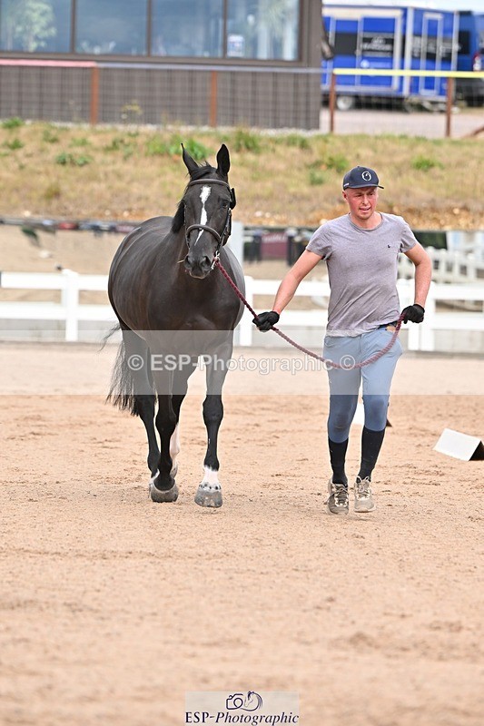 250716-162843-02639 - Trot Up 3.30 to 4.30