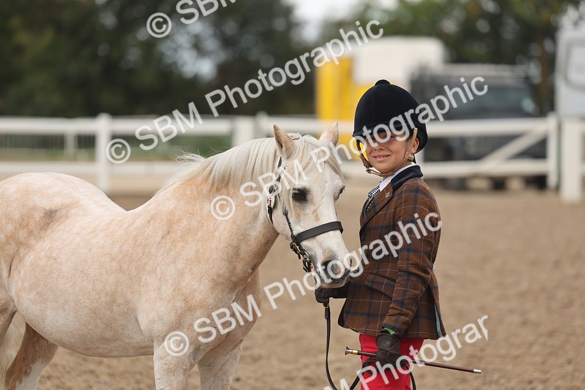SBM_04334 - Class 17 - Prettiest Mare (IH or Ridden)
