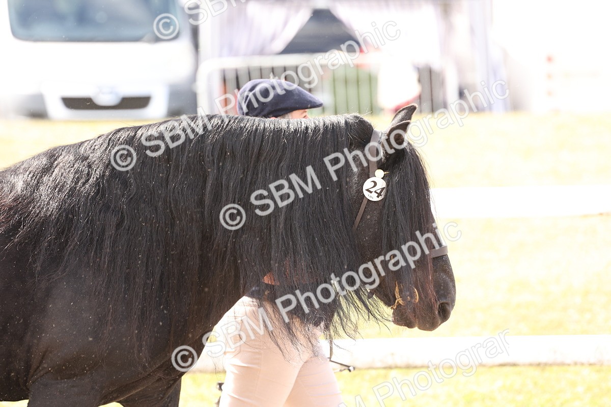 SBM_15013 - Class 209 - IH Veteran Pony