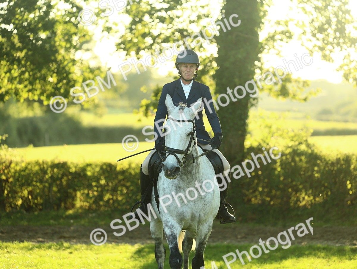 SBM_55600 - S14 - Riding Club Horse