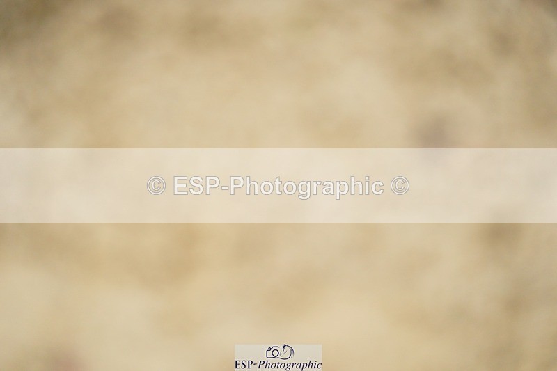 240309-123442-00638 - Cls 02 AE 80cm