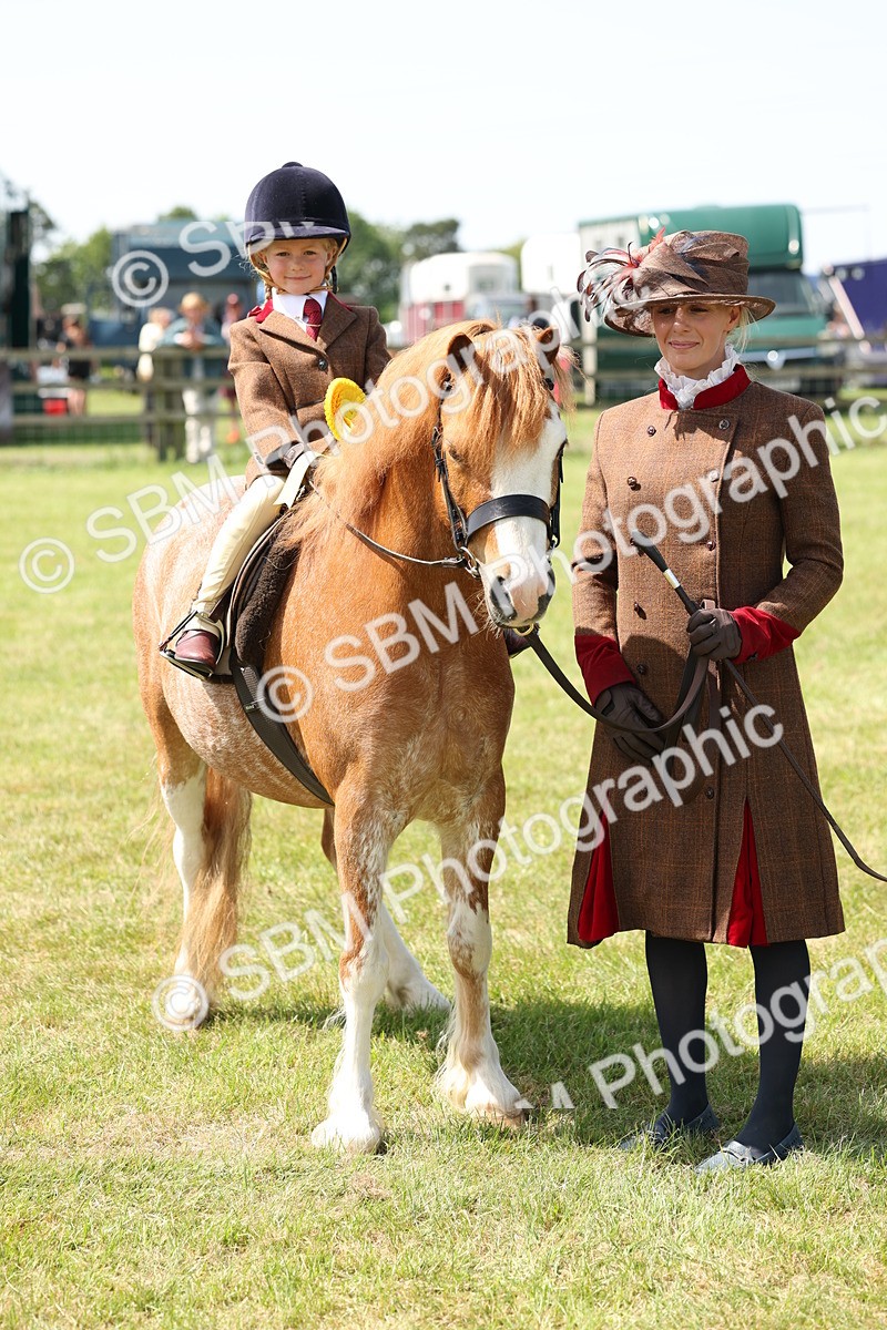 SBM_05279 - Class 24-25 - Mountain & Moorland In Hand Lead Rein and First Ridden